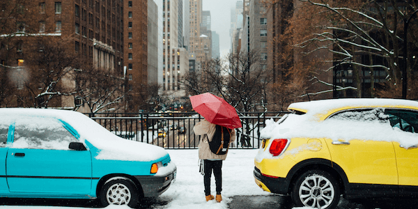 snowy cars