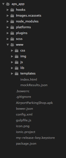 Ionic Project Structure