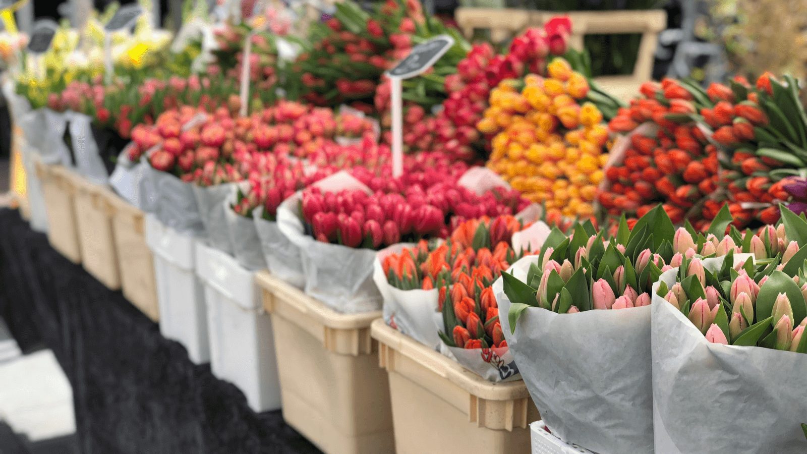 The Flower Market