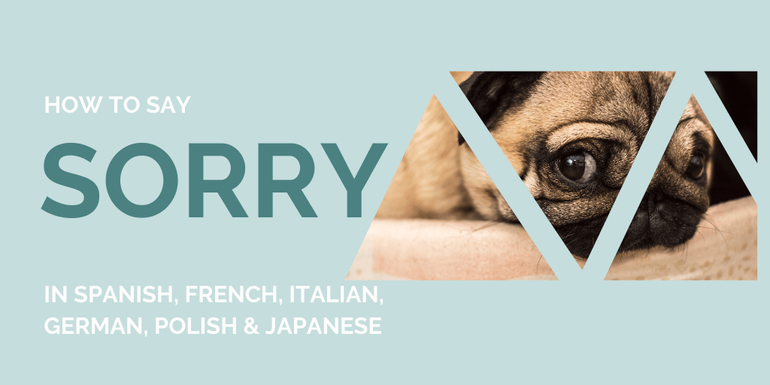 Common phrases in different languages - Discover how you say Sorry in 6 different languages