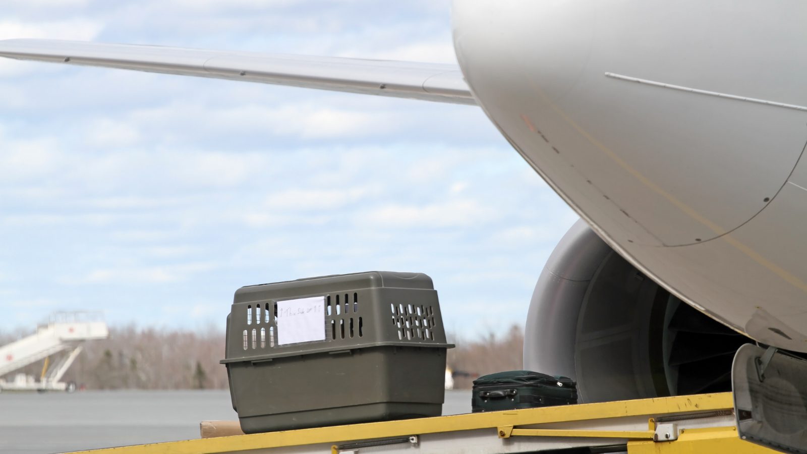 carrier being put on plane